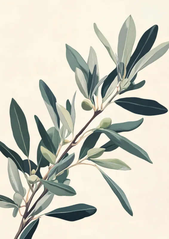 Minimalist illustration of an olive branch with dusty green and silver leaves and small green olives on a cream background