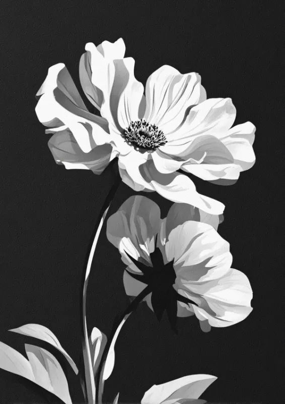 Black and white anemone flowers botanical illustration on dark background
